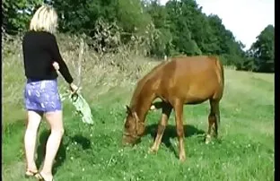 Το κορίτσι της πόλης πατήθηκε από τον παλιό αγρότη.