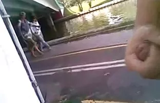Δημόσιο αυνανισμό πουλί 24
