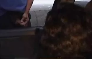 Δύο μωρά της Βραζιλίας που κάνουν δημόσιο σεξ σε εξωτερικούς χώρους