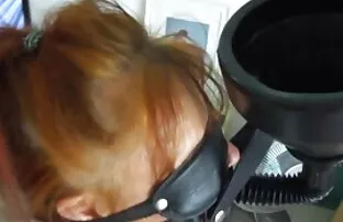 Ορίστε σκύλα
