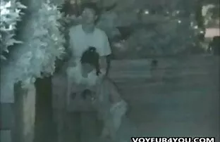 Δύο ιαπωνικά ζευγάρια γαμημένα σε εξωτερικούς χώρους