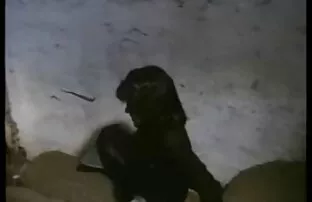 Vintage Γερμανός σεξουαλική κωμωδία κορίτσι Jucken Kumpel 2