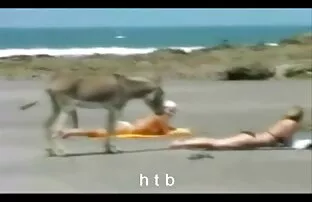 Διασκεδαστικό 4.htb