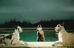 Κυρία gaga πίπα