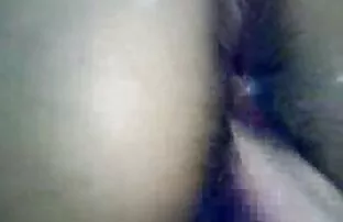 Ιαπωνική Λίζα