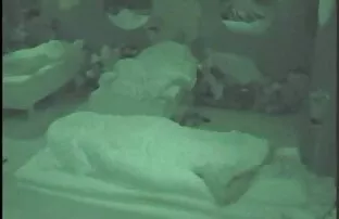 Big Brother 2006-Τζέσικα Αυνανισμός