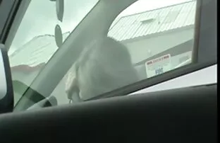 Ωριμάζω