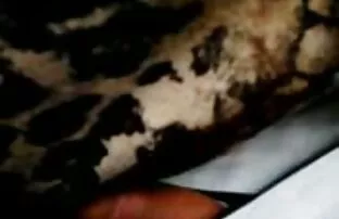 Πατήστε λεωφορείο