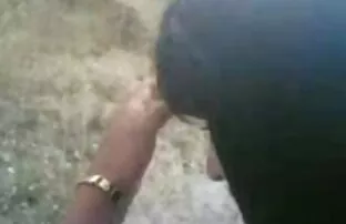 Περσική εξωτερική πρωκτικό
