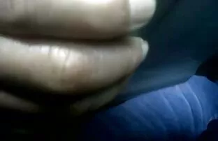 Ν