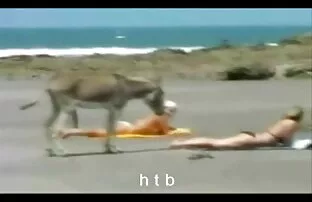 Διασκεδαστικό 4.htb