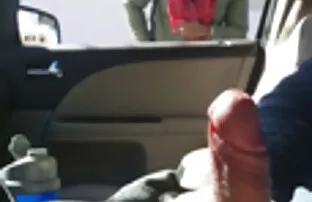 Ο κόκορας ενθαρρύνει το σόου