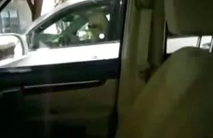 Ευχαριστώ για την εικόνα του πουλί μου