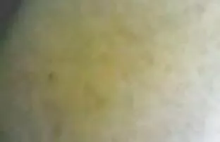 Μαλαισιανό σεξ